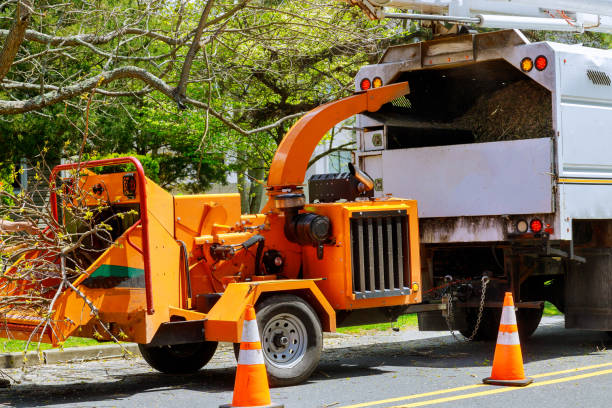 Best Utility Line Clearance  in Keizer, OR